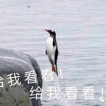 娱乐吃瓜君遛鸟大师,遛鸟大师的传奇人生