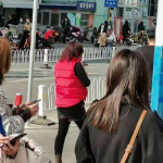 娱乐吃瓜君郭老师恋情,娱乐圈新恋情引发热议