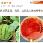 可以吃娱乐圈的瓜,揭秘明星幕后故事