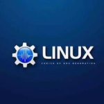 linux服务器代维,Linux服务器代维工作概述