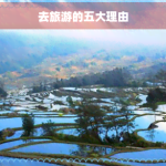 去旅游的五大理由