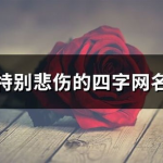 四字伤感网名,网名寄深情