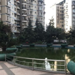 重庆北碚二手房出售信息,地铁沿线优质房源抢眼，教育配套完善