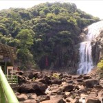 赏美景 泡温泉！清明假期我县文旅市场迎来“春暖花开”-丰顺龙归寨